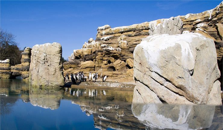 Дикие камни