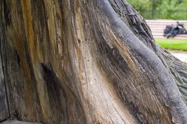 Садово-парковая скульптура дерева из бетона