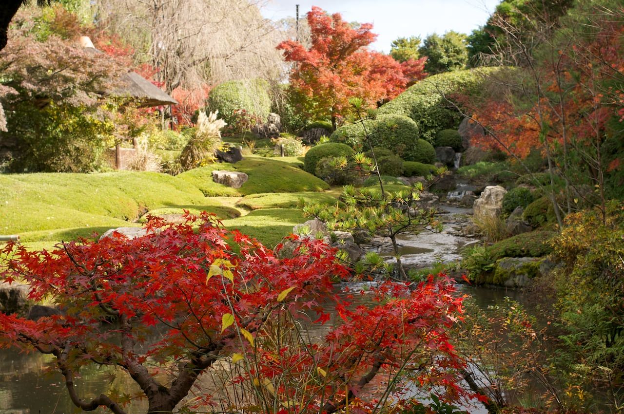 Цветовое решение японского сада