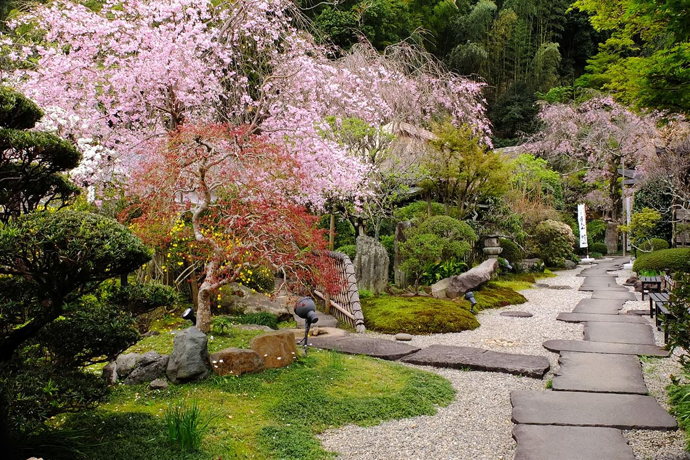 Правила оформления сада в японском стиле