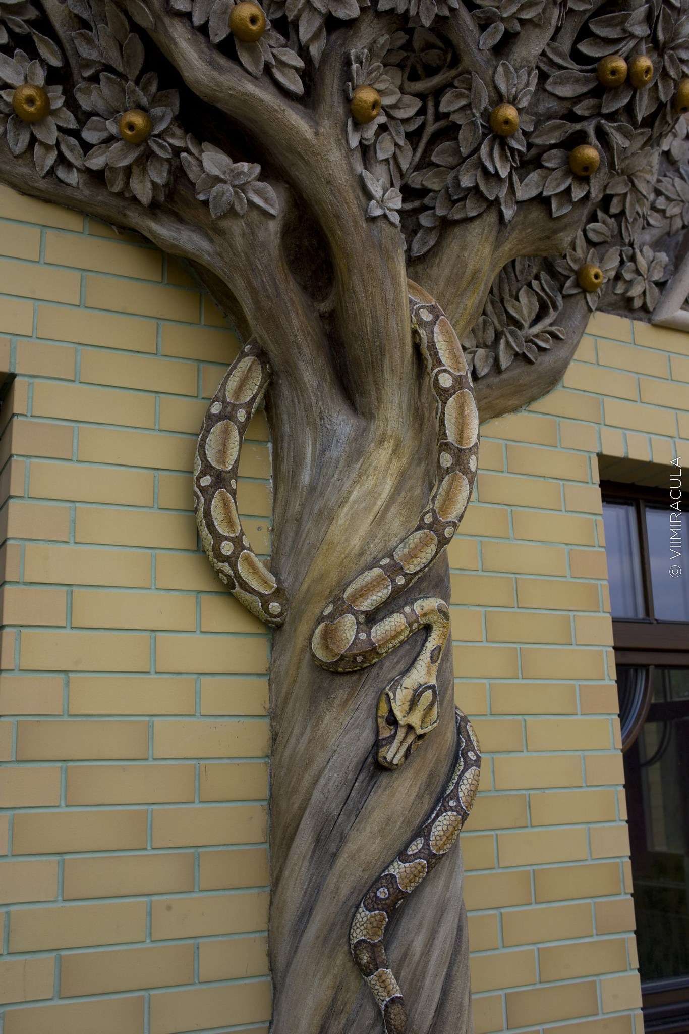дерево на фасаде